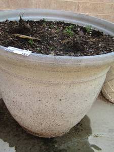 lot 191 image: 1722 plant pot