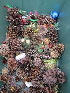 lot 100 image: lot of various pine cones