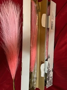 lot 57 image: Gradient Pink Pampas Grass