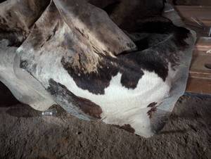 lot 244 image: Dark Brown and White Cowhide Rug