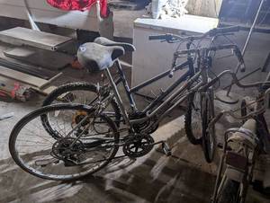 lot 396 image: 2 Adult Bikes