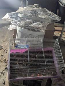 lot 376 image: Vintage Bird Cage and Pet Cage