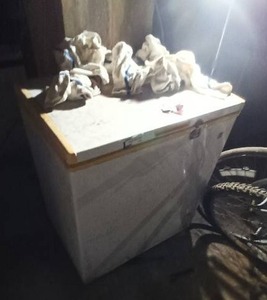 lot 395 image: Large Freezer Unit