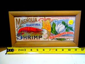 lot 272 image: AWESOME MAGNOLIA SHRIMP WALL DISPLAY - APPROX 12 WIDE