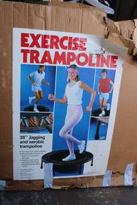 lot 260 image: 38 Exercise Trampoline (has 3 out of 6 legs)