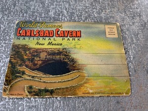 lot 106 image: Vintage Carlsbad Cavern National Park post card book 1930s - see pics