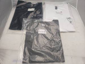 lot 283 image: DSG Badge Logo T-Shirts Size Large - QUANTITY 3 - BID IS TIMES THE QUANTITY