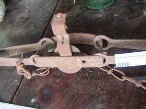 lot 11 image: PRIMITIVE SPRING LEG HOLD TRAP