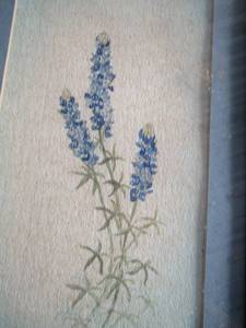 lot 223 image: Framed BLUEBONNET Art RIVES 1972   - 19 12 X 12