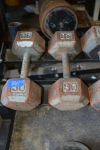 lot 234 image: 30 LB hand weight dumbells - 2 total