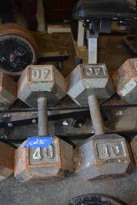 lot 235 image: 40 LB. Hand weight dumbells - 2 total