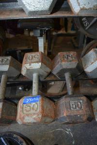 lot 236 image: 50 LB Hand weight dumbells - 2 total