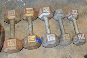 lot 239 image: (3) 15 LB. Hand weights and (2) 10 LB. Hand weight dumbells