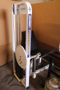 lot 206 image: Paramount Fitness Line weight machine for leg extension