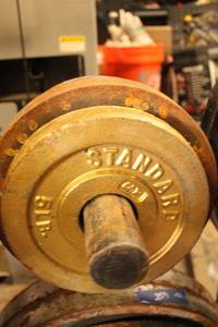 lot 256 image: Barbell weights - (2) 5 LB and (4) 10 LB