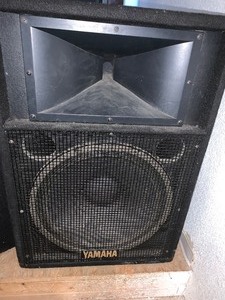 lot 9 image: Yamaha passive PA Speaker 15 in w horn