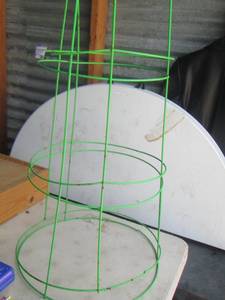 lot 148 image: 2 green tomato vines used for garden