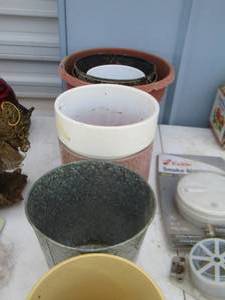 lot 124 image: potter plants