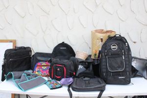 lot 53 image: Travel bags, laptop bags, backpacks, car trunk organizer and more