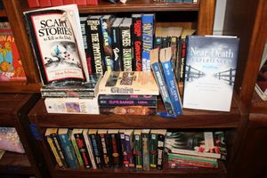 lot 67 image: Horror Books, Spocks World, Chancy and more