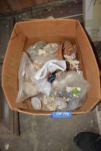 lot 158 image: Seashells and corral