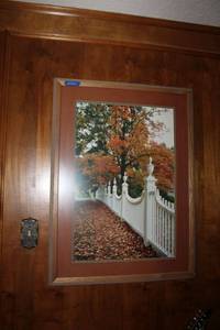 lot 234 image: Large Framed Photo with Fall leaves