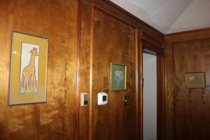 lot 186 image: Wall art - 3 animal Prints by Shirley Spaulding