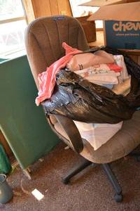 lot 345 image: High back office chair, clothes and linens as shown