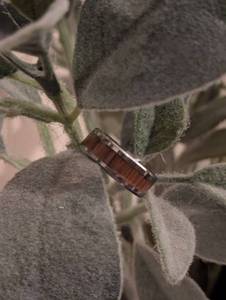 lot 145 image: Sz 10.5 (20 mm) Tungsten Mens Wedding Band with Koa Wood Inlay NEW with Black Jewelry Box