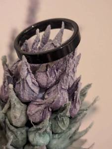 lot 137 image: Sz 12 Ultra Thin Matte Black Wedding Band - Chromium Alloy NEW with Black Jewelry Box