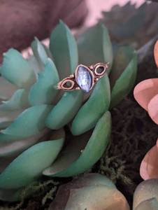 lot 209 image: Sz 7 Catkin Aquamarine Moonstone Stainless Steel Ring NEW with Black Jewelry Box