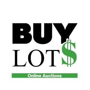 lot 6 image: TERMS & CONDITIONS