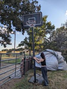 lot 245 image: 10 Ft Basketball Goal See ImagesDescription