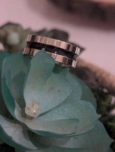 lot 262 image: Sz 6.5 (17mm) Stainless Steel Silver with Black Stripe Ring NEW with Black Jewelry Box