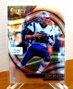 lot 229 image: 2020 Panini Select Field Level Tom Brady Tampa Bay Buccaneers #301