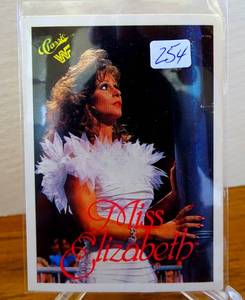 lot 254 image: Miss Elizabeth 1989 Classic WWF Wrestling Card #11