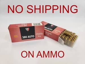 lot 253 image: Fiocchi 380 Auto 95gr FMJ Ammo.  50 Rounds Per Box.  PRICE IS PER BOX - QUANTITY 2 - BID IS TIMES THE QUANTITY