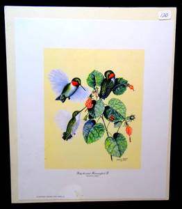 lot 120 image: RUBY THROATED HUMMINGBIRD II by EARL O HENRY PRINT WITH BIO, SEALED - APPROX 10 X 12