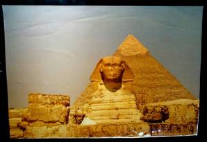 lot 70 image: NICE SCENE FROM EGYPT THE SPHINX PHOTO PRINT - 20 X 29