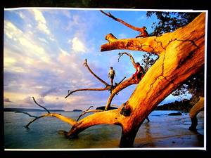 lot 197 image: WATER SUBJECT PRINT 8 X 12