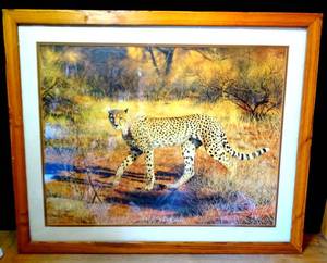 lot 271 image: BIG $ LOT - FRAMED AND MATTE UNDER GLASS - Charles Frace Signed Limited Edition Print Cheetah - 26 X 32