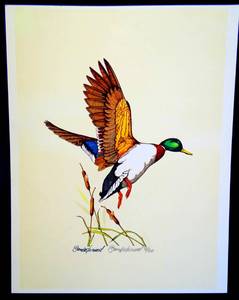lot 277 image: WILDLIFE ARTIST DAN EASTERWOOD NUMBERED AND SIGNED DUCK PRINT - 13 X 18 $$