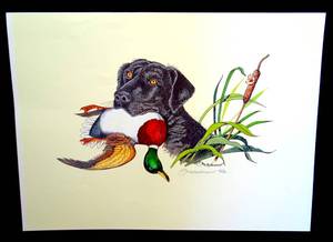 lot 278 image: WILDLIFE ARTIST DAN EASTERWOOD NUMBERED AND SIGNED DOG WITH DUCK PRINT - 13 X 18 $$
