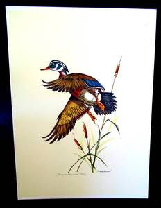 lot 280 image: WILDLIFE ARTIST DAN EASTERWOOD NUMBERED AND SIGNED DUCK PRINT - 13 X 18 $$