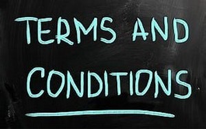 lot 6 image: TERMS & CONDITIONS