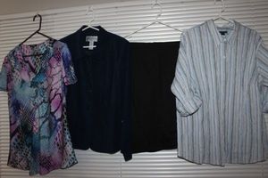 lot 127 image: Womens Plus Size Clothes2X, Blouses and Pants, Lane Bryant and More