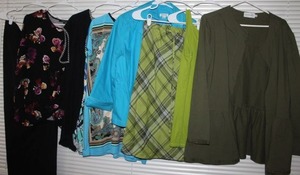 lot 149 image: Womens Plus Size Clothes 1820  Skirts pants blouses and more, Joan Rivers, cold water creeka nd others