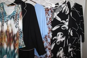 lot 150 image: Womens Plus Size Clothes Dresses skirts, 2xl