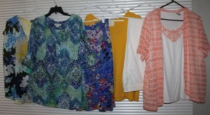 lot 153 image: Womens Plus Size Clothes Pants, Blouses, and Skirt St Johns Bay 18, Liz Claiborne 2x, oz Claiborne xl and 7th Avenue xxl