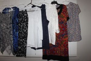 lot 156 image: Womens Plus Size Clothes Blouses, Dresses, and Skirts, Cato and Dressbarn and more 2xl